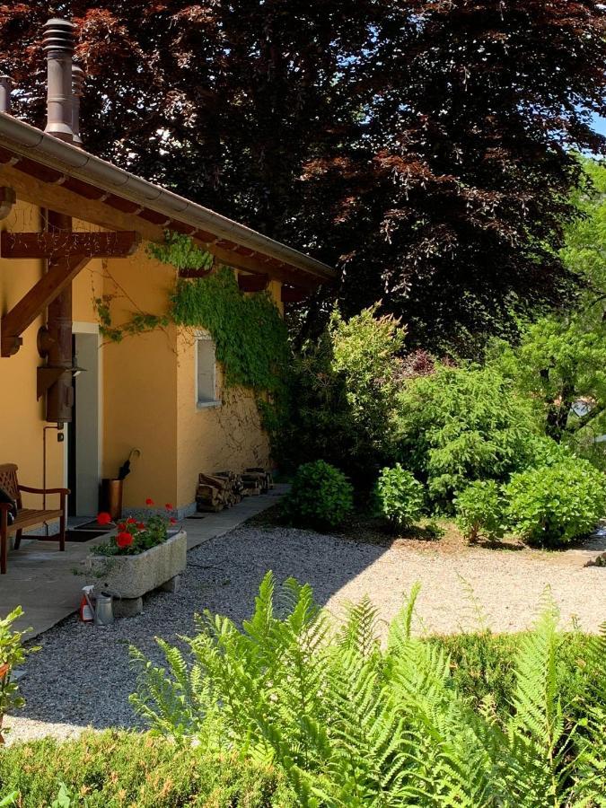 The Comfortable House With Big Pool In The Center Of 메르고초 외부 사진
